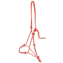 Cargar imagen en el visor de la galería, Cabezada cuerda roja y amarilla Brockamp