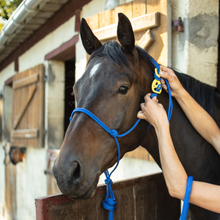 Cargar imagen en el visor de la galería, Hookilpenn