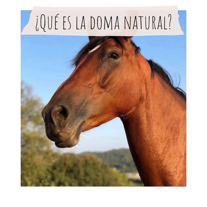 ¿QUÉ ES LA DOMA NATURAL?