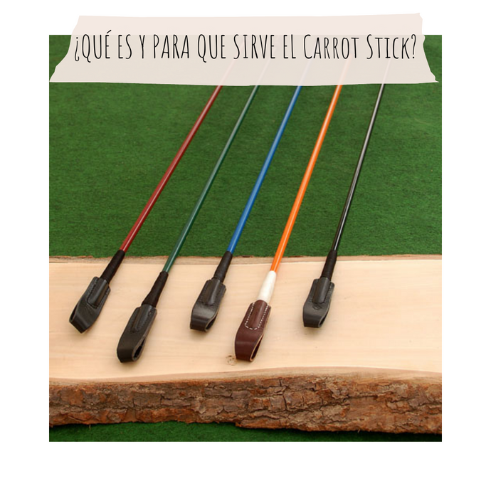 ¿Qué es y para que sirve el Carrot Stick?